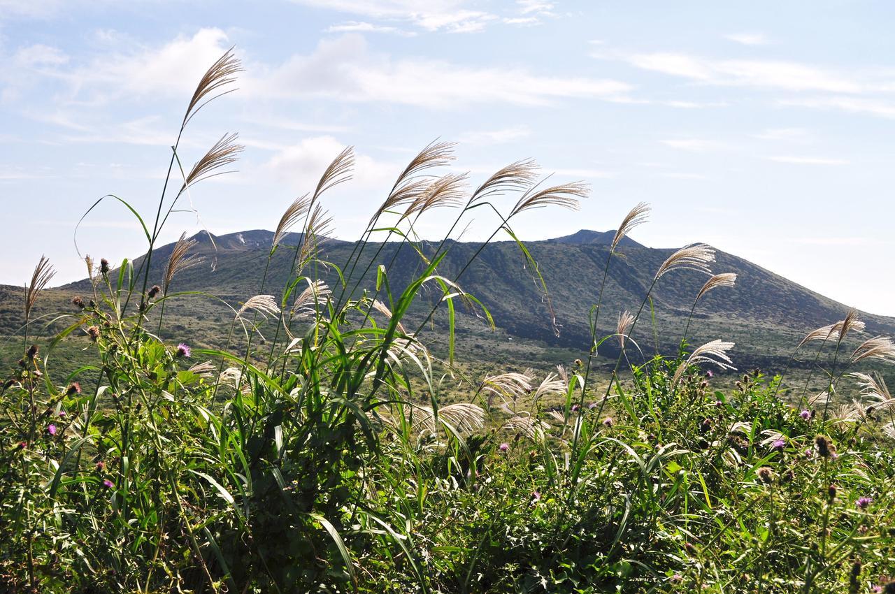 ホライゾン Villa Oshima Екстериор снимка